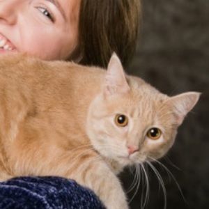 Meet your Posher, Allison